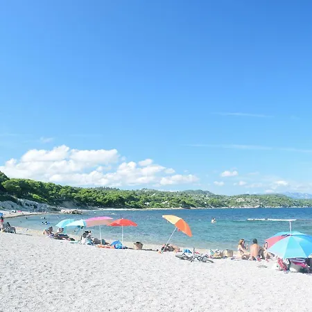 Belarpa *